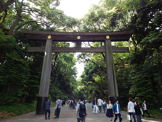 Großes hölzernes Torii-Tor in einem bewaldeten Park mit mehreren Spaziergängern auf dem Weg darunter.